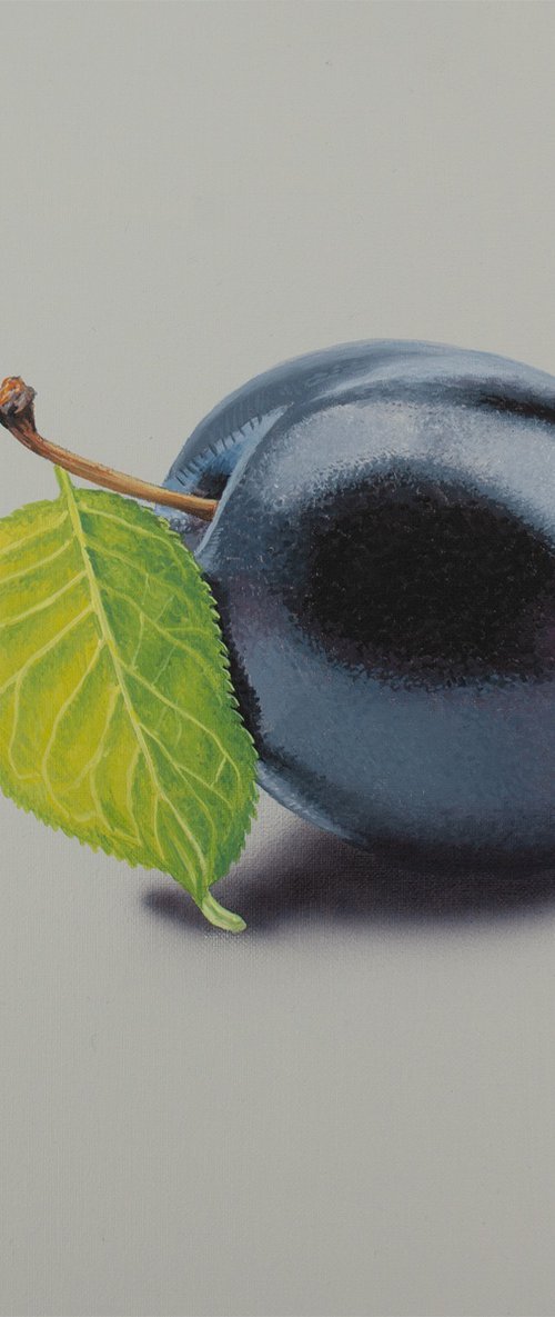 Plum and Leaf by Dietrich Moravec