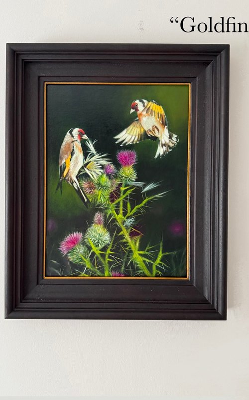 Birds and Thistle by Veaceslav Salaru