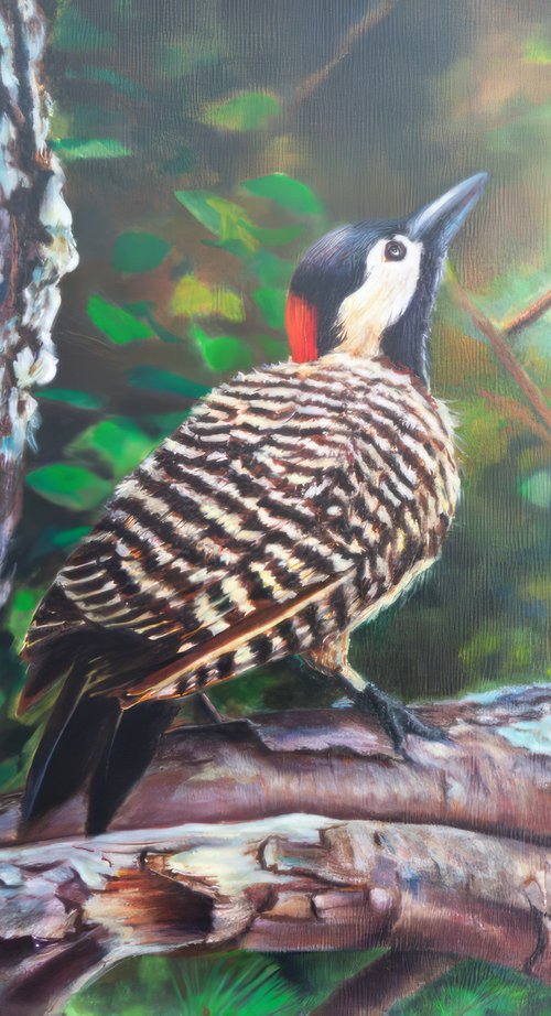Woodpecker in the Forest by Norma Beatriz Zaro