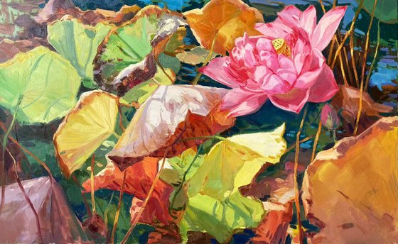 Still life oil painting:Lotus