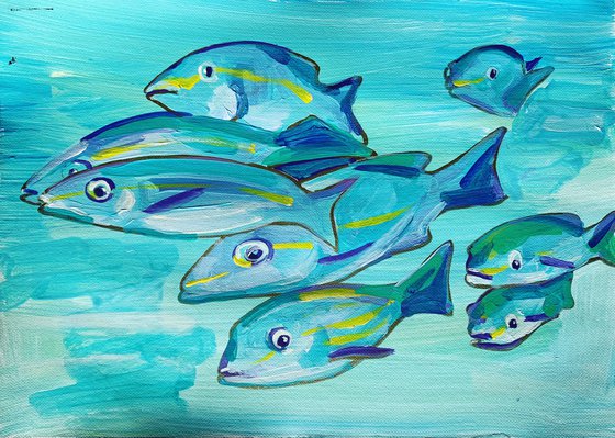 Fish in blue