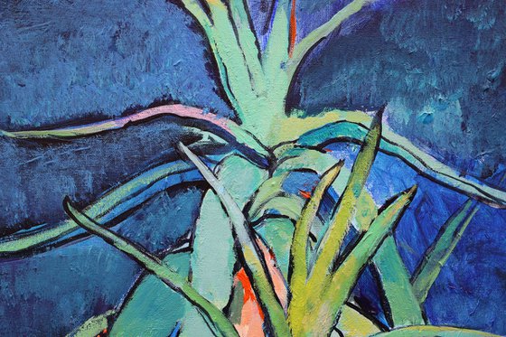 Aloe Vera and Tomato