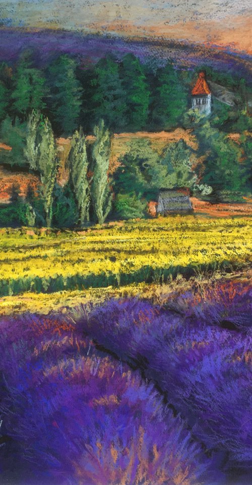 French Lavender fields and corn fields by Patricia Clements