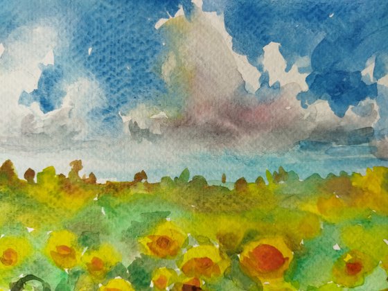 Summer field sunflowers