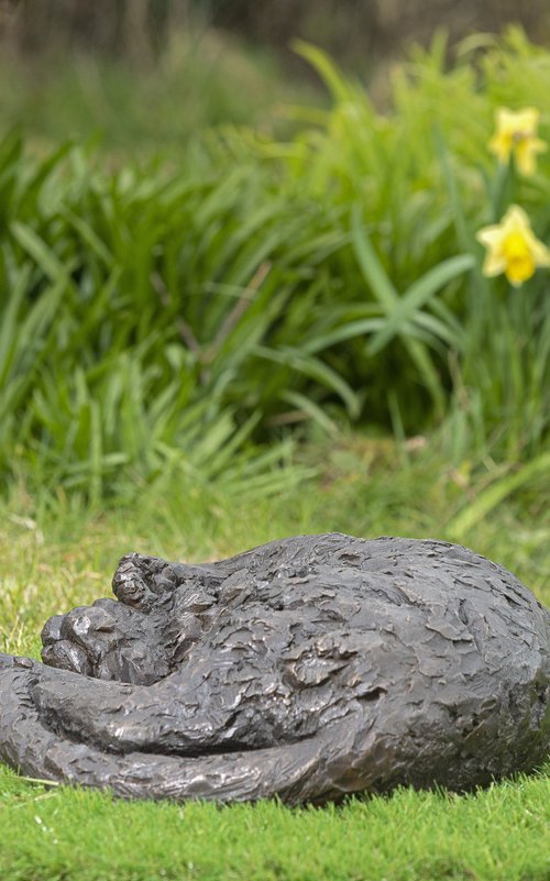 Curled Cat (BR sculpture) by Tanya Russell