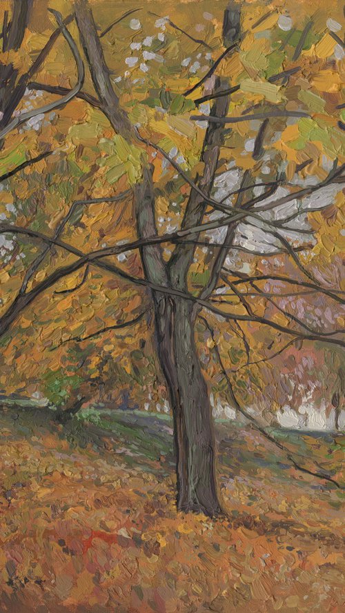 Golden maples in Kolomenskoye by Simon Kozhin