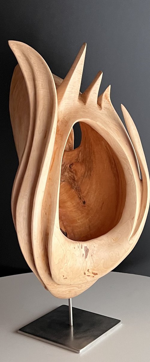 Abstract 311 by Roland Köpfer