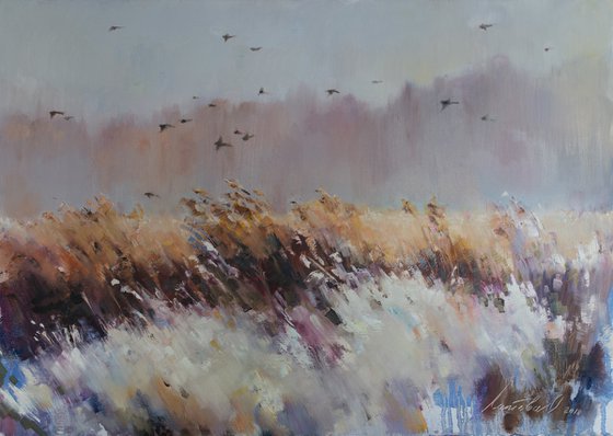 Birds over the field