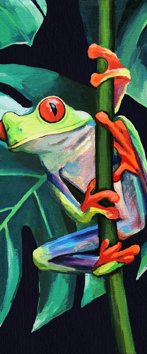 ‘Funky eyes’ by Lucia Verdejo