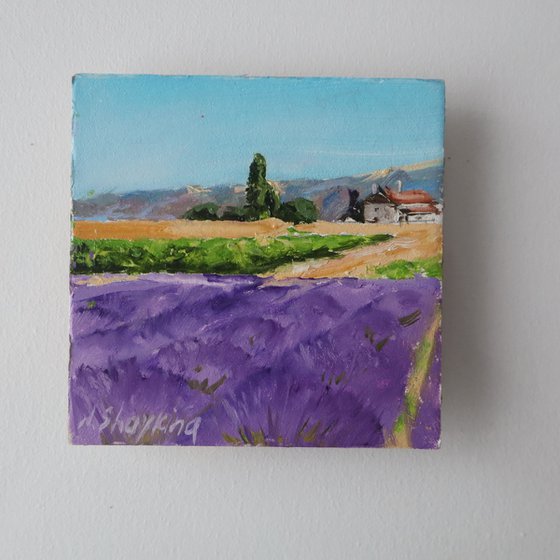 Lavender Field Painting