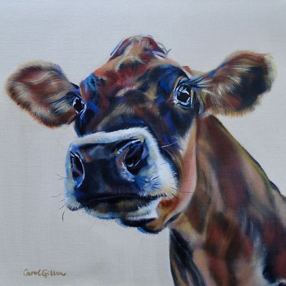 Well hello there!, a Jersey calf (cow) original oil painting Sophia