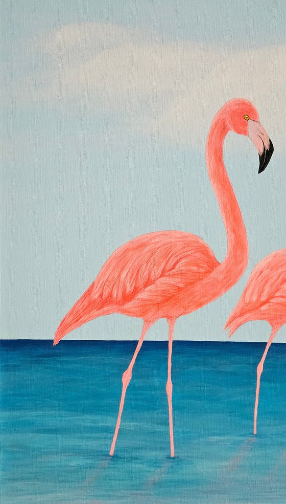 Flamingo Dreams