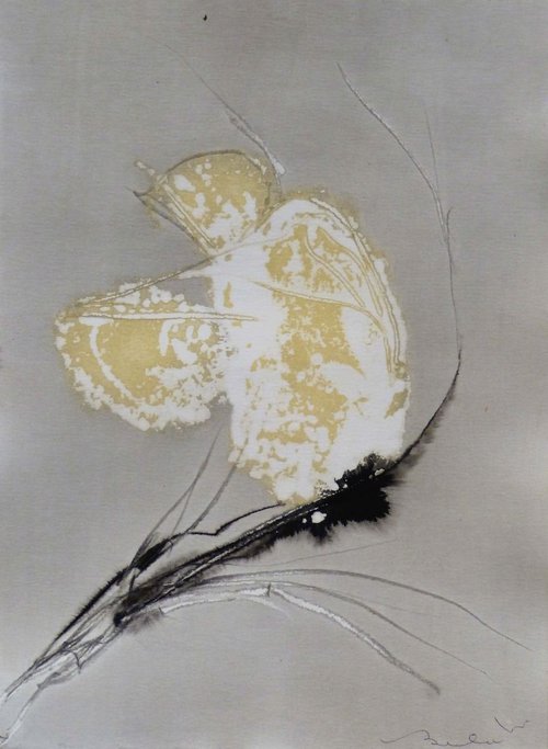 The vague bird 3, 21x29 cm by Frederic Belaubre