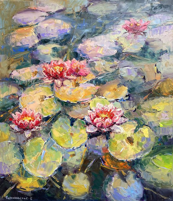 "Water lilies"