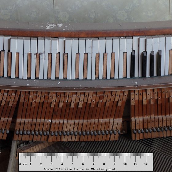 #77. Pripyat Piano Room 2 - XL size