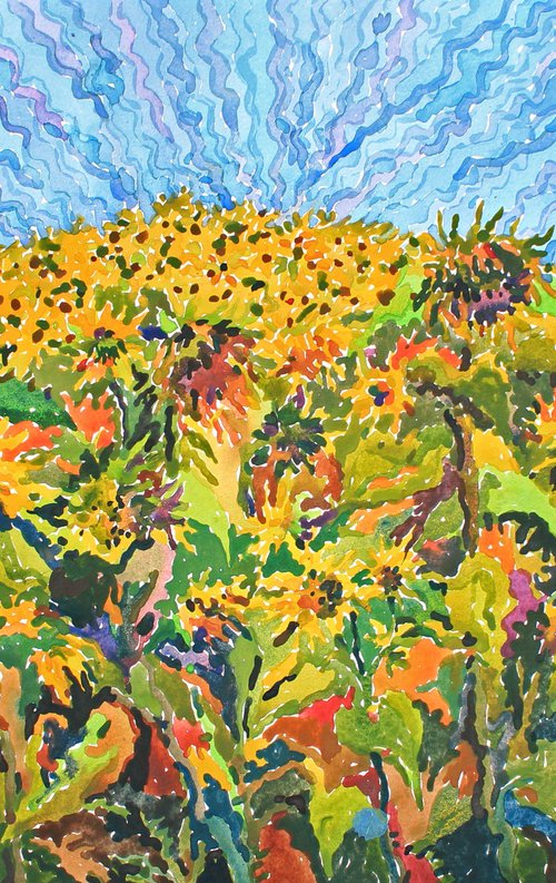 Sunflower field by Tanbelia