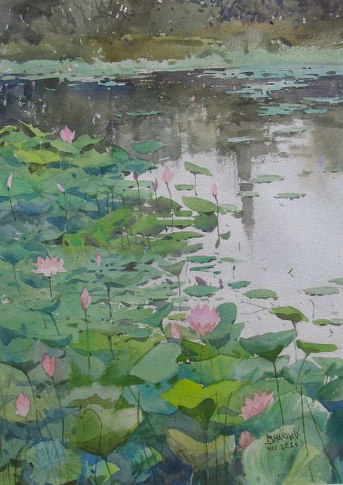 Lotus pond by Bhargavkumar Kulkarni