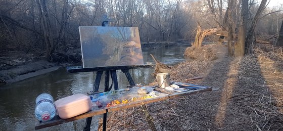A broken tree near the Likhoborka River