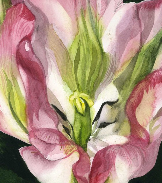 pink and green tulip watercolor floral