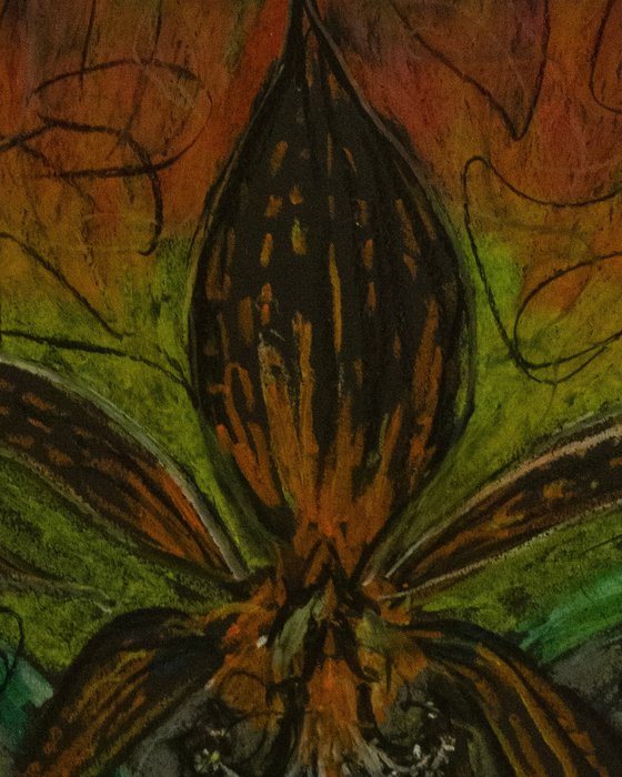 Bloom at the Threshold of Winter
