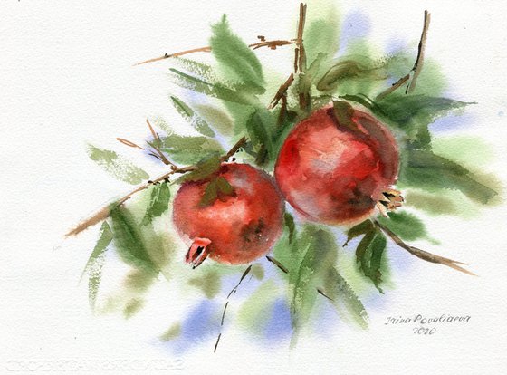 Pomegranate, 28x38 sm, watercolor, red, stilllife, gift, medium size