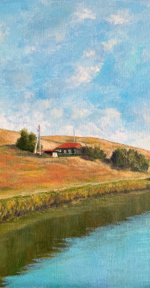 House with a red roof on the shore of the pond by Albert Safiullin