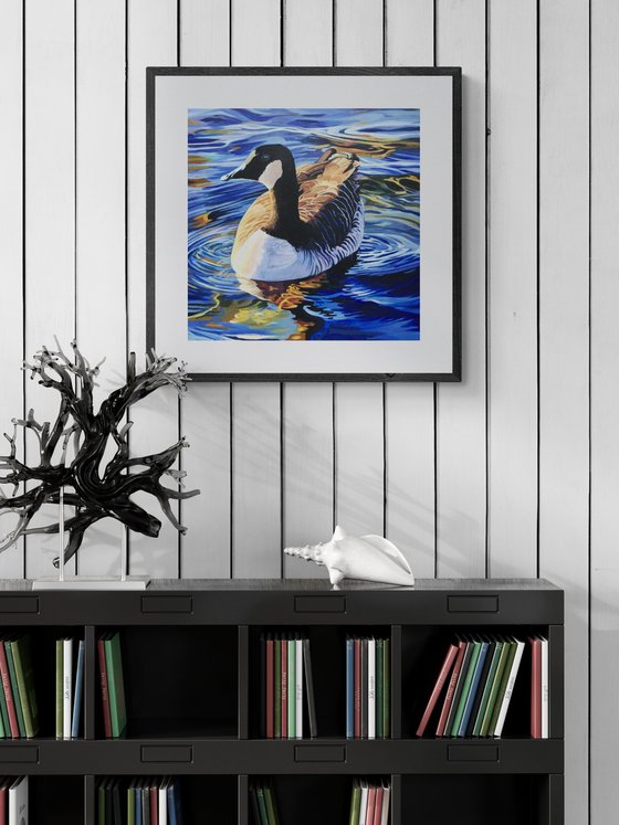 Canada Goose On The Serpentine