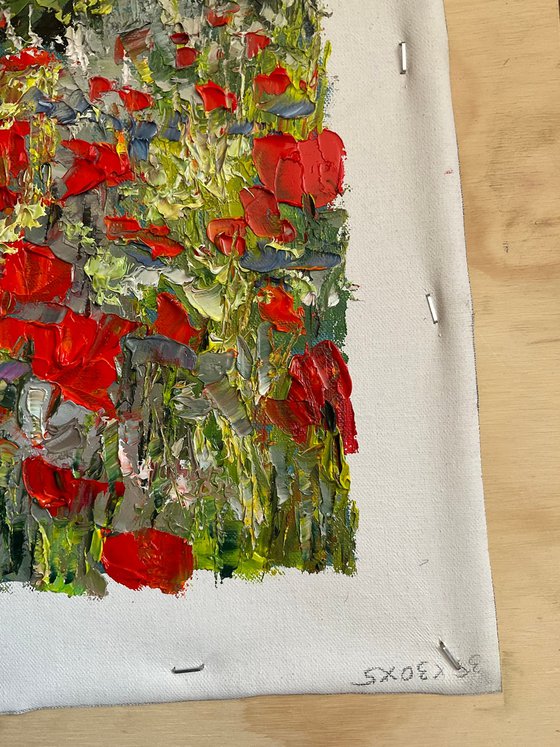 Poppies on grey background