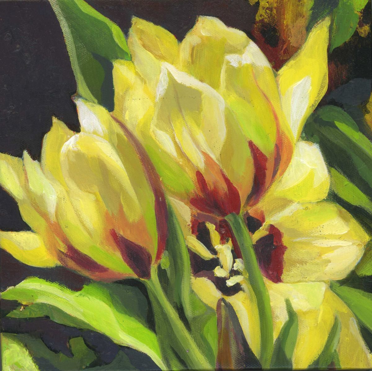 Impressionistic Botanical Acrylic Painting By Alfred Ng, 10 X 10, Yellow Tulips, Original Artwork