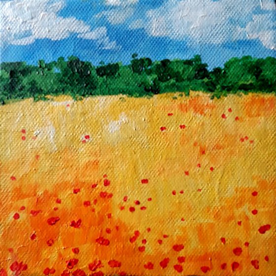 Poppies in the wheat