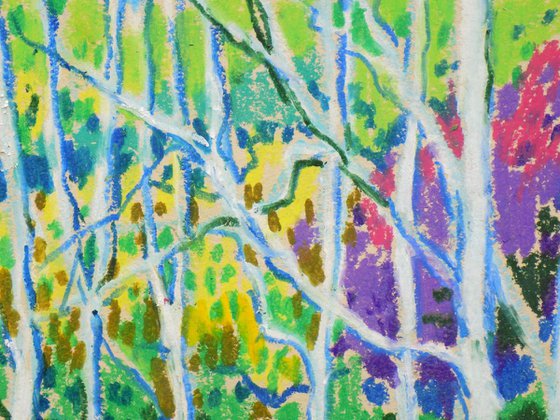 Along the forest path