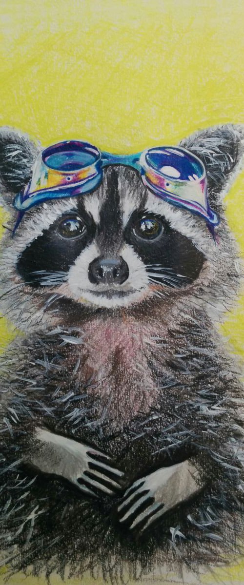 Little Raccoon by Jelena Nova