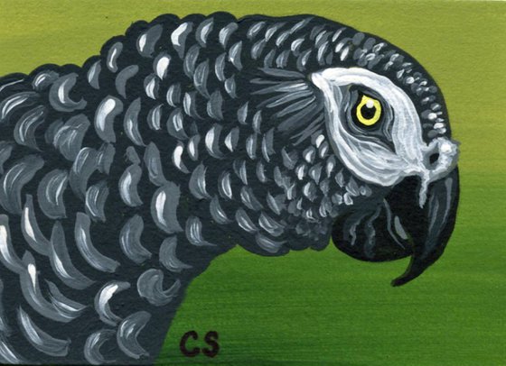 ACEO ATC Original Miniature Painting African Grey Parrot Pet Bird Art-Carla Smale