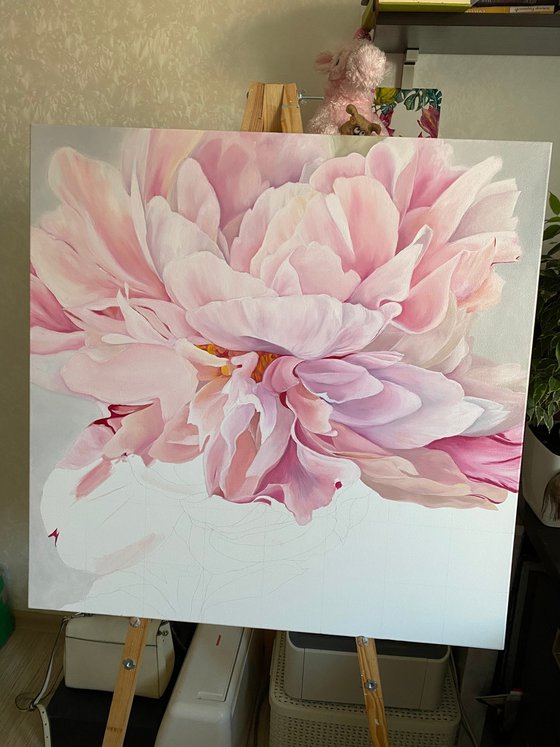 Pink Peony