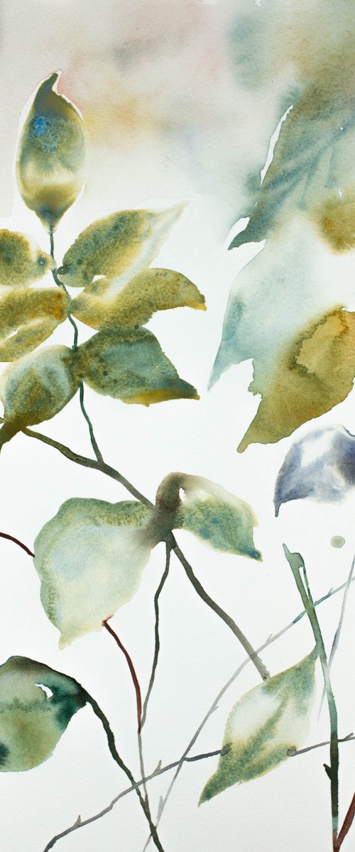 The Woods No. 107 by Elizabeth Becker