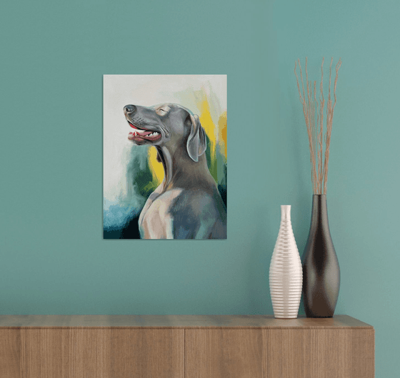 Weimaraner. Dog Portrait