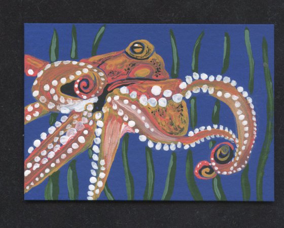 ACEO ATC Original Painting Octopus Marine Wildlife Art-Carla Smale