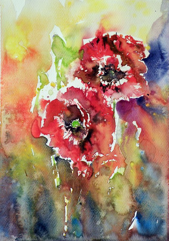 Poppies