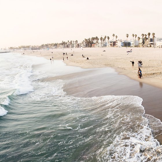 Venice Beach #1