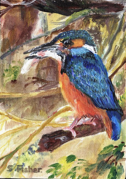 king fisher by Sandra Fisher