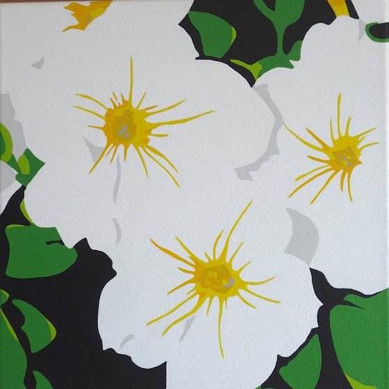 White Petunia