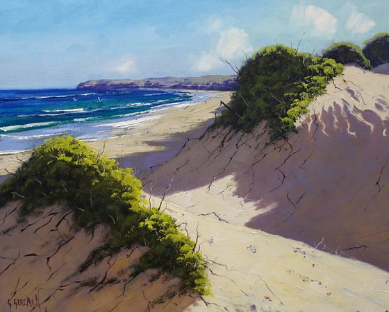 Coastal Sand Dunes and Ocean Headland