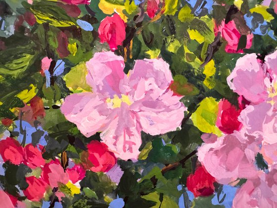 Crabapple Blossoms