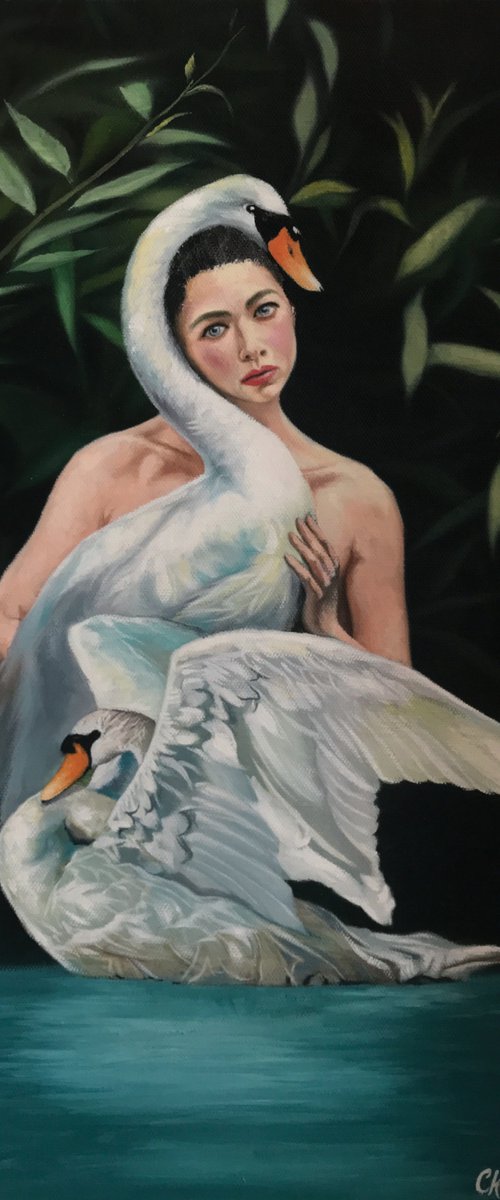 Don't shoot white swans by Kakajan Charyyev