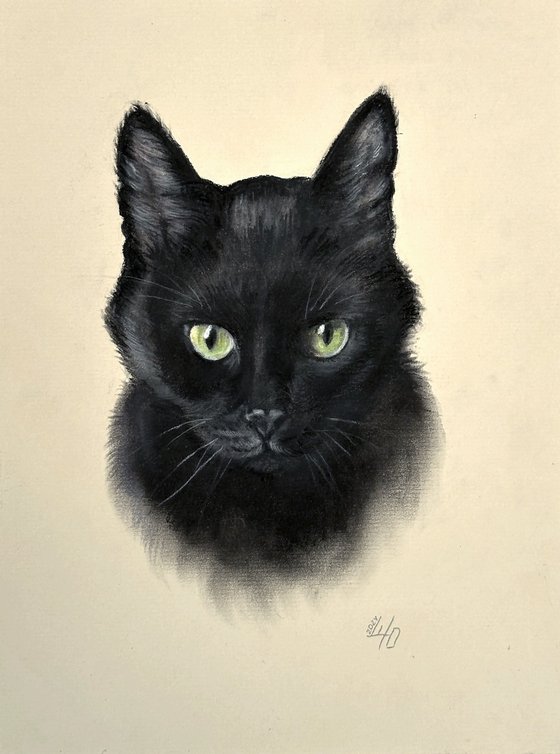 Portrait of Black Cat with Green Eyes