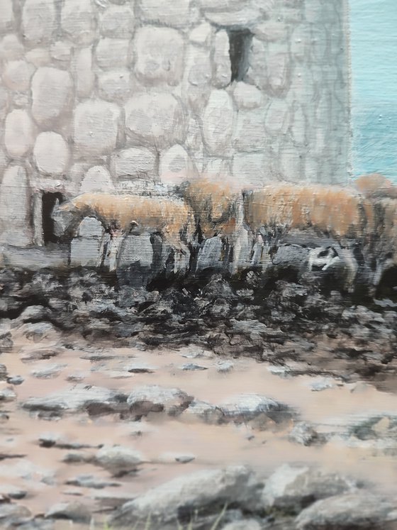 Untamed (the bigger picture)