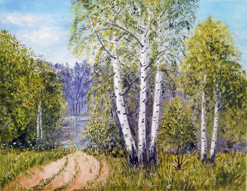 Birch grove in summer by Luba Ostroushko