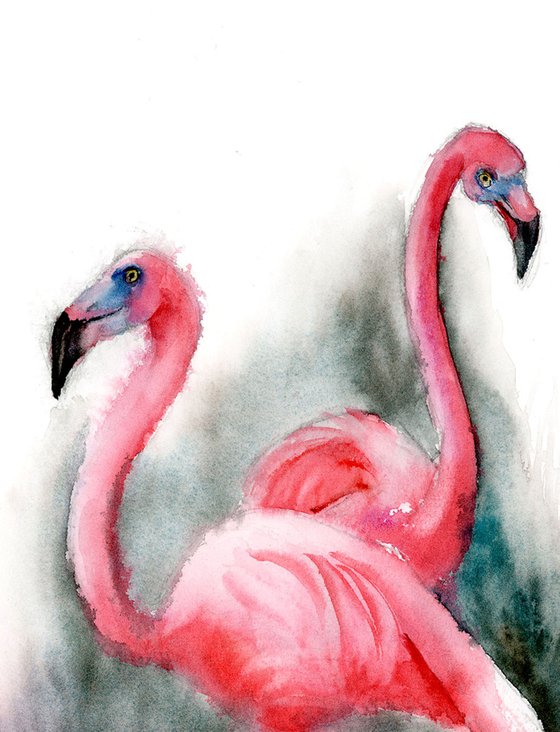 Pair of Flamingos