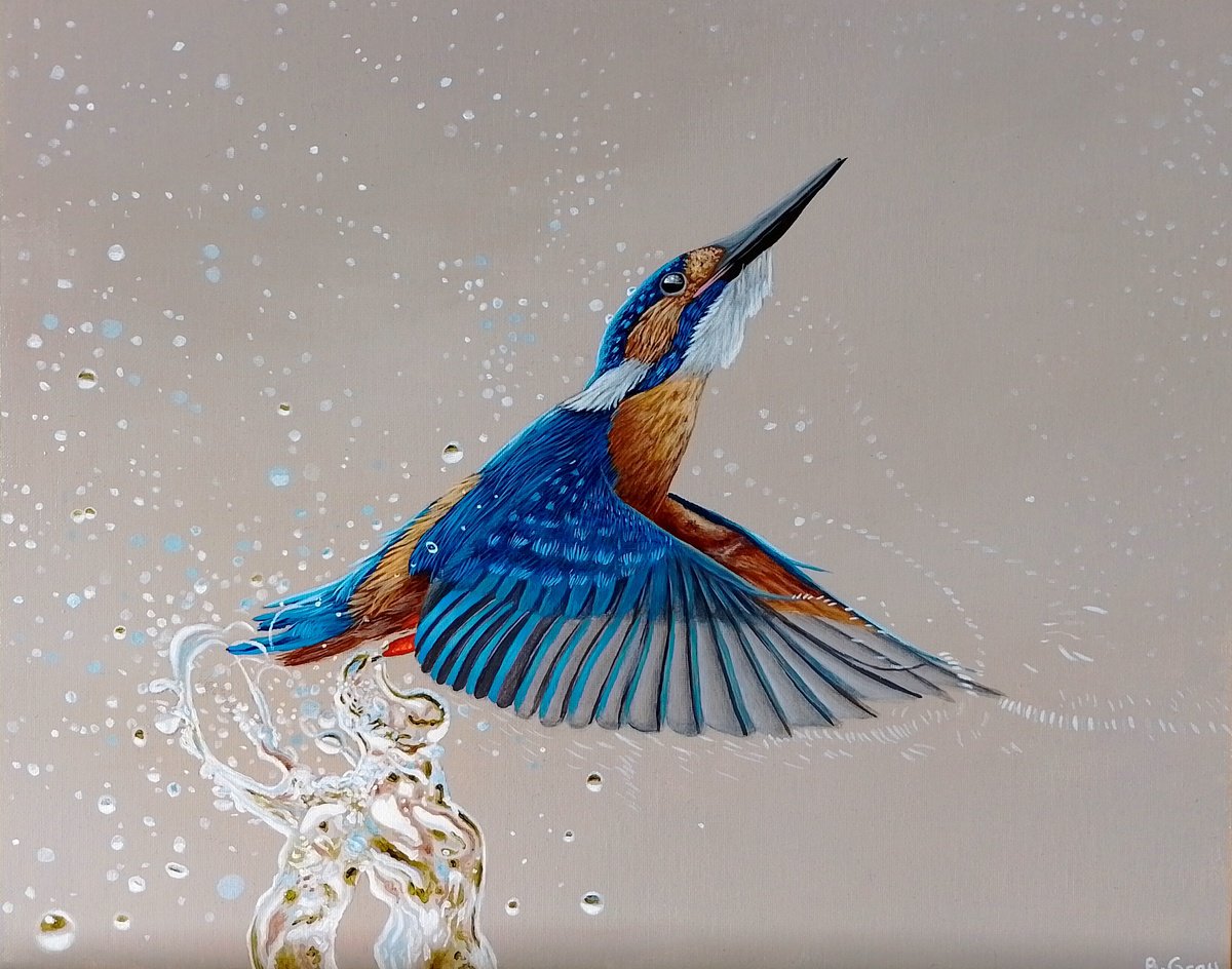 Kingfisher by Barry Gray