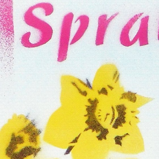 Spray it with flowers (wp)